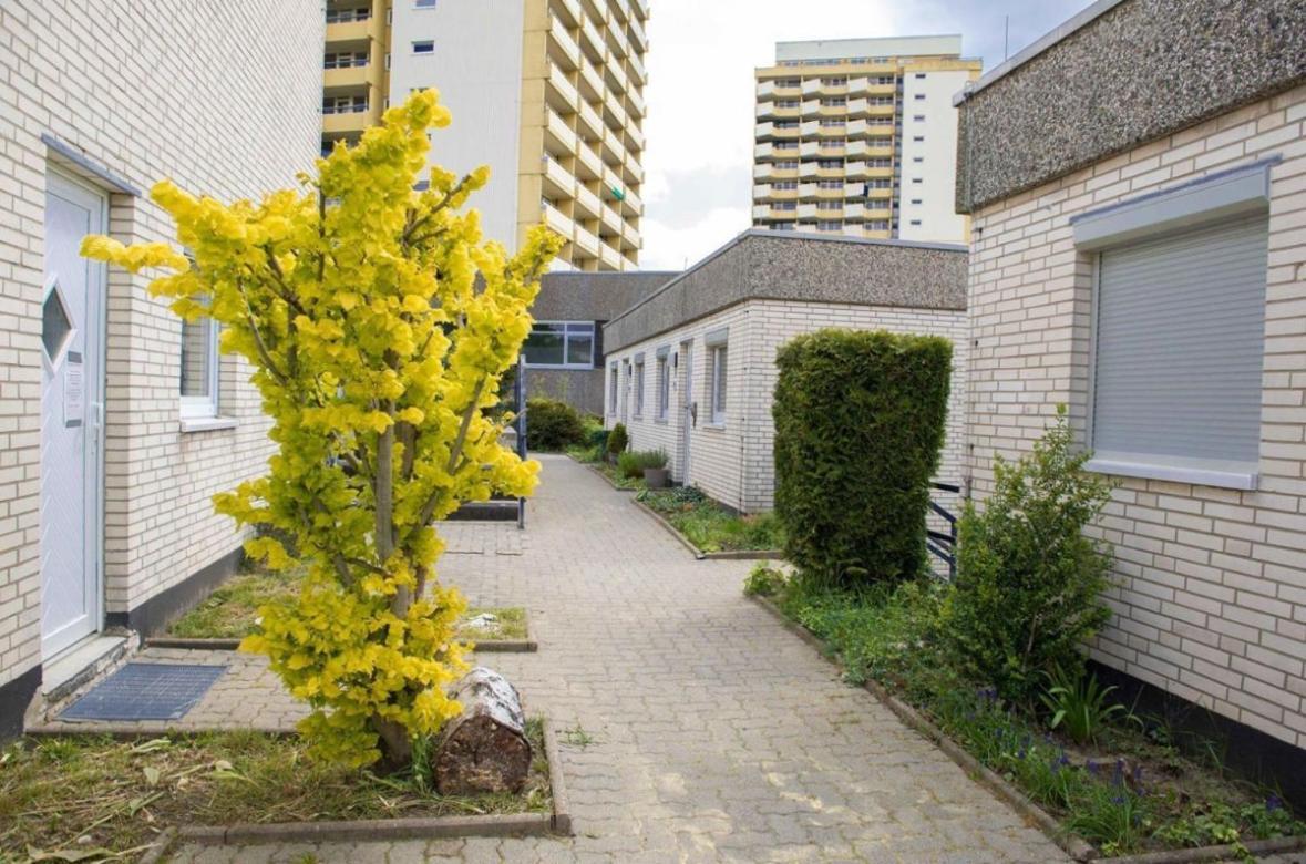 Ferienwohnung 479 Mit Schwimmbad,Sauna Und Bar In Panoramic Hohegeiss Braunlage Dış mekan fotoğraf